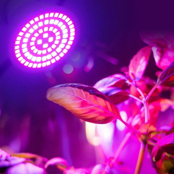 LED lámpa növénytermesztéshez 4W 230V E27